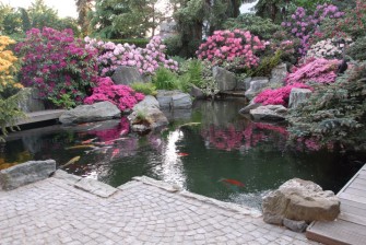 Фильтры серии Bioriver