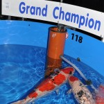 Выставка в Германии Interkoi 2012