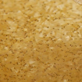 Начало сезона размножения карпов кои в Японии