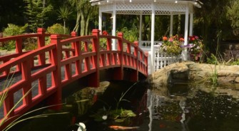 Идеи для вашего сада и дома