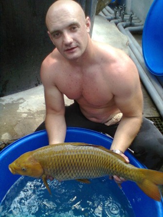 Ферма Йошикигой 2013 — начало сезона