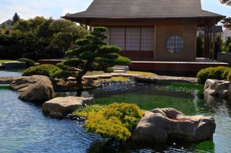 Идеальный пруд для содержания карпов кои