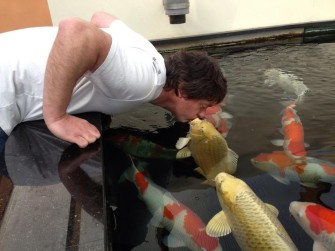 Развитие самца санке