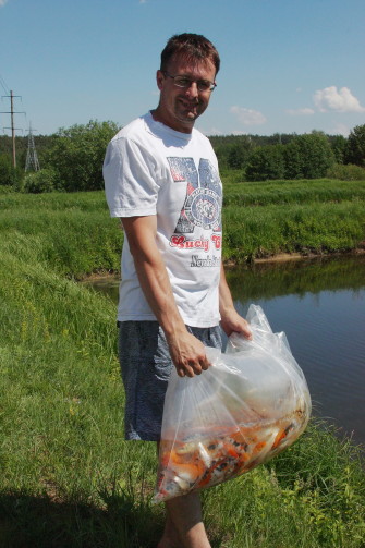 Выпускаем годовичков в нагульный пруд