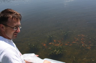 Разведение карпов кои 2.0 (ч. III)