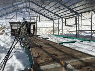 Снежная Ниигата