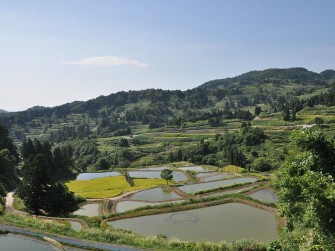Встречай нас, Ниигата!