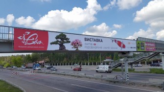 Первая в Украине выставка карпов кои